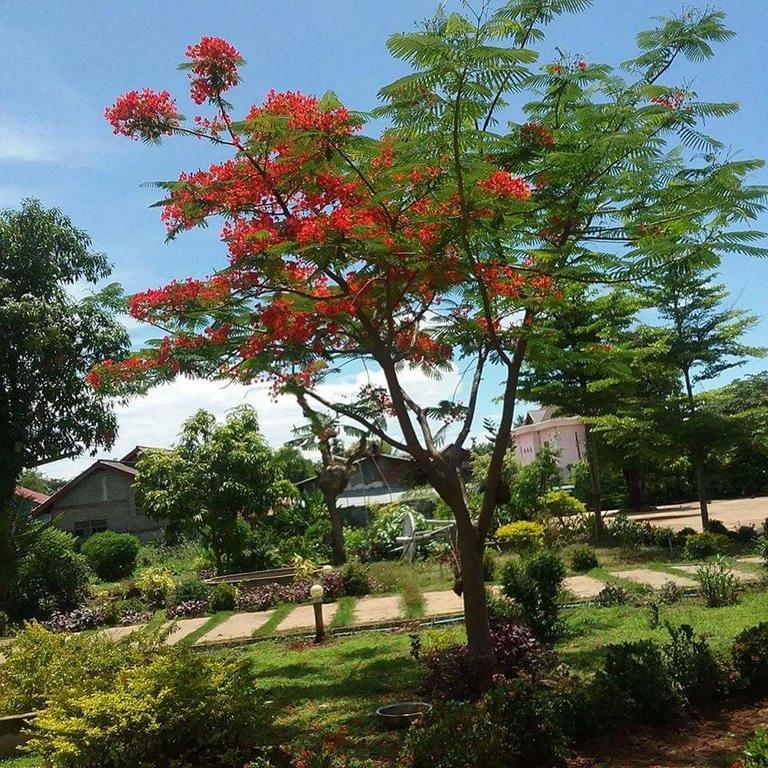 Xuanmai Garden Resort Pakse Exterior foto